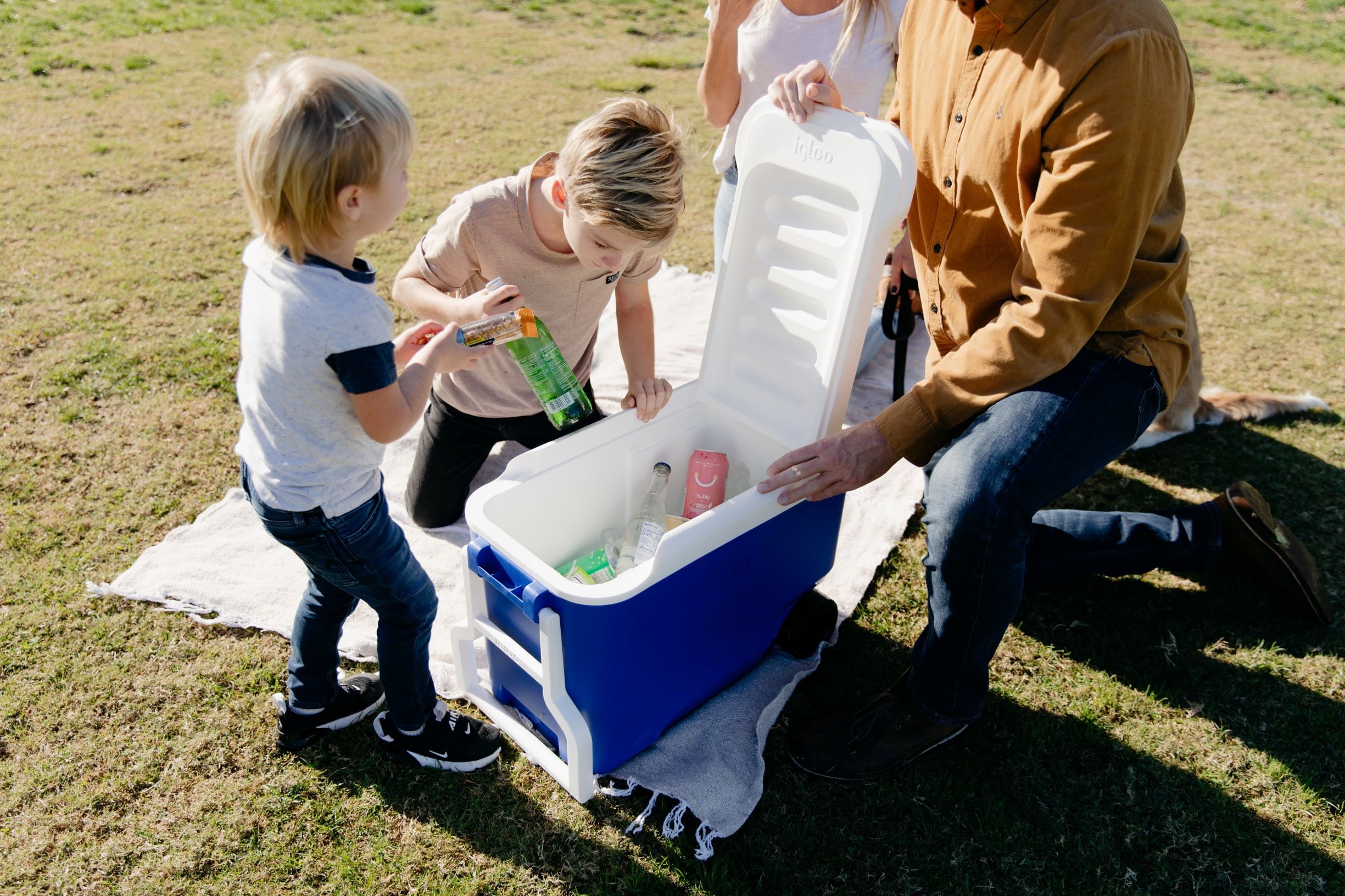 38 QT. Hard-Sided Ice Chest Cooler with Wheels, Blue - CommunityRateLLC