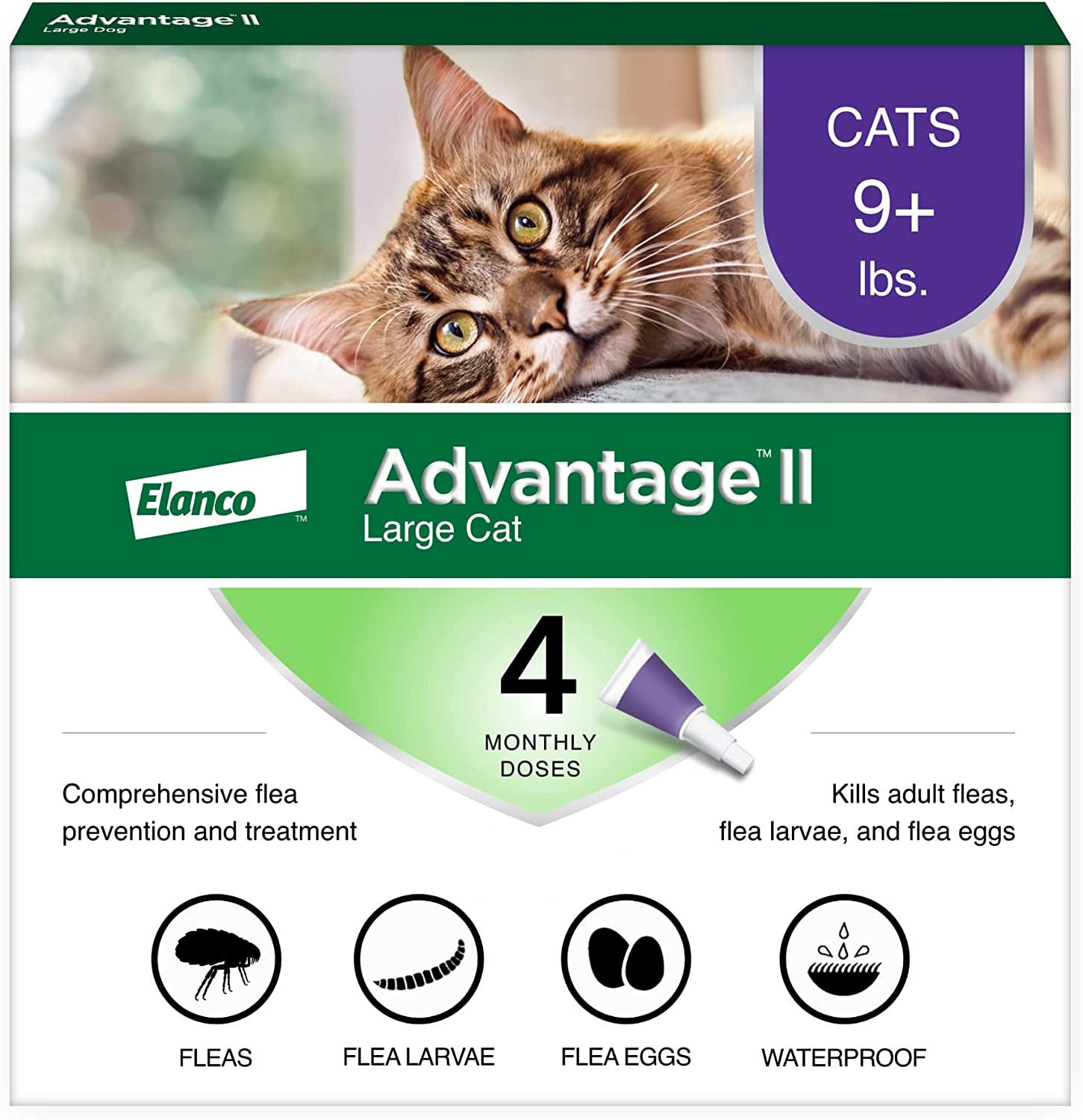 II Large Cat Vet-Recommended Flea Treatment & Prevention | Cats over 9 Lbs. | 4-Month Supply - CommunityRateLLC