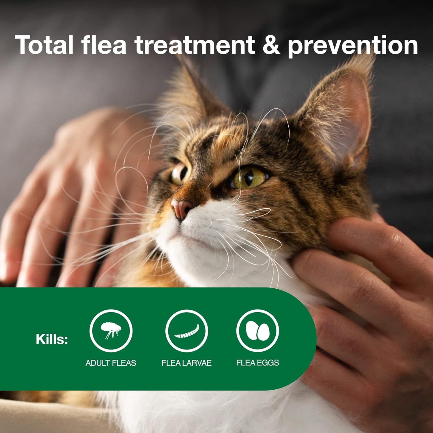 II Large Cat Vet-Recommended Flea Treatment & Prevention | Cats over 9 Lbs. | 4-Month Supply - CommunityRateLLC