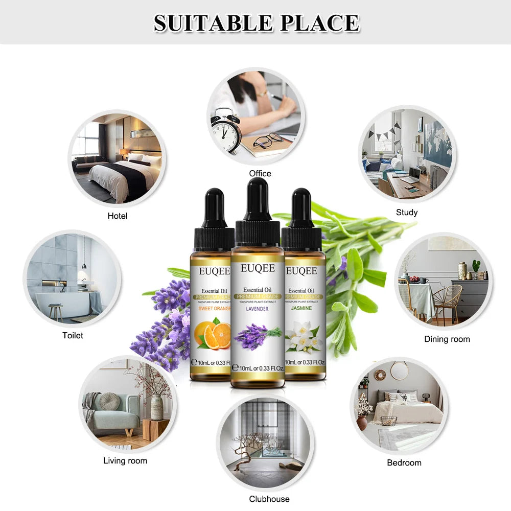 10ml Natural Plant Essential Oils with Dropper for Diffusers and Humidifiers - Lavender, Jasmine, Eucalyptus, and Vanilla Blends