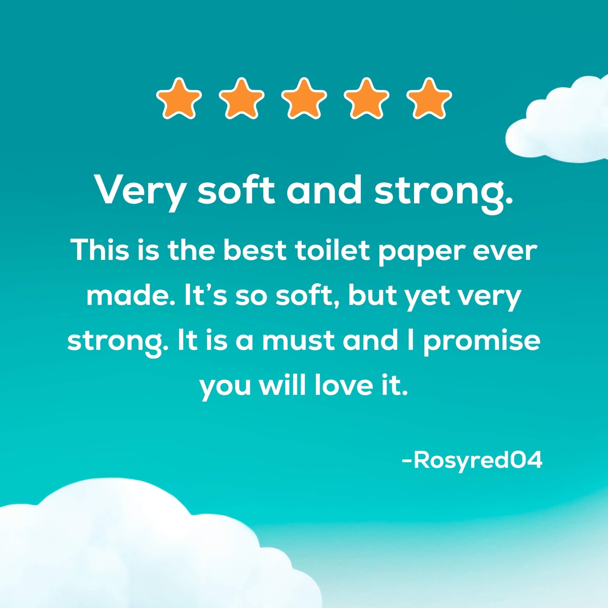 Toilet Paper, 24 Mega Rolls, Soft and Strong Toilet Tissue