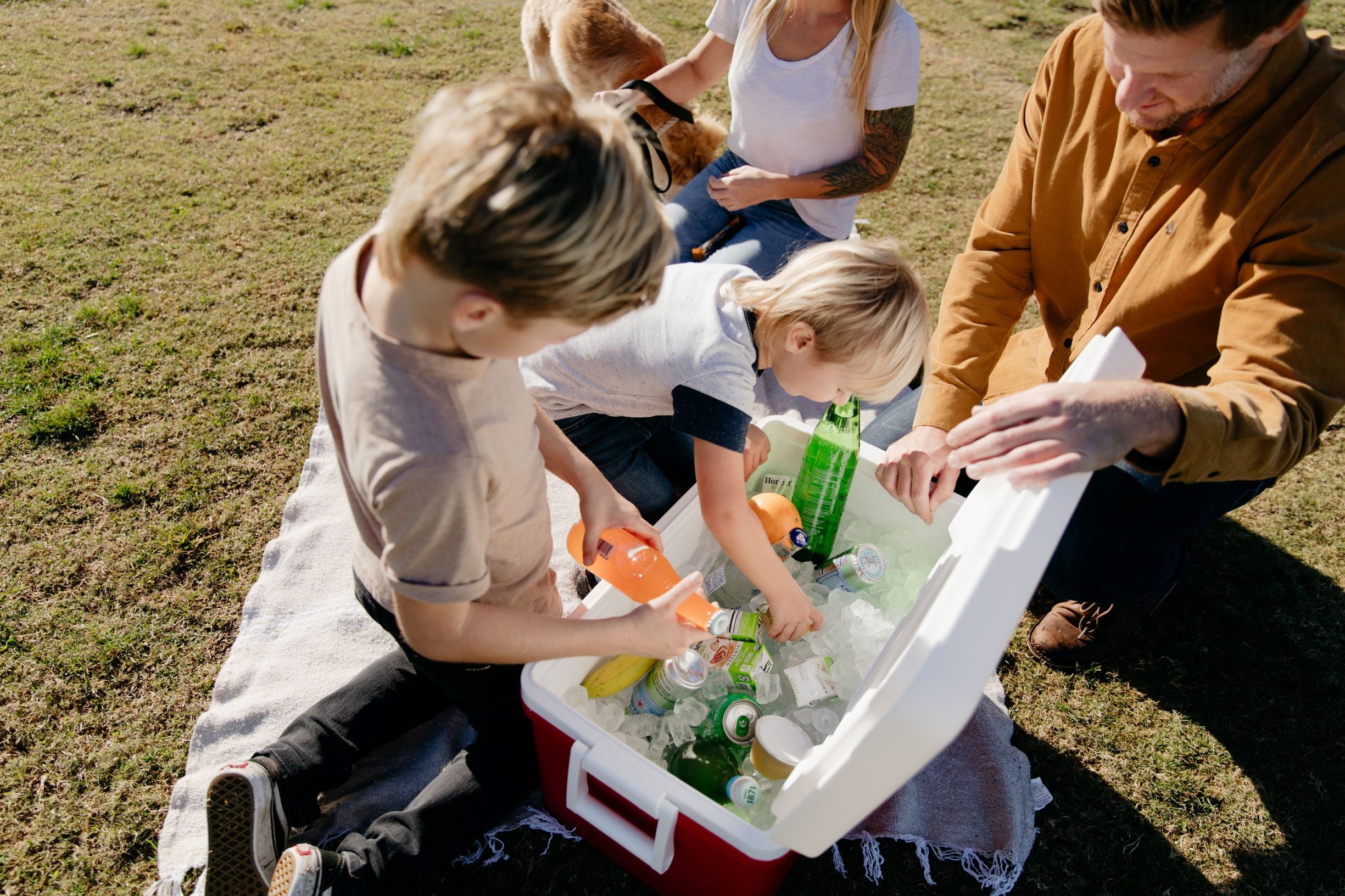 48 QT Laguna Ice Chest Cooler, Red - CommunityRateLLC