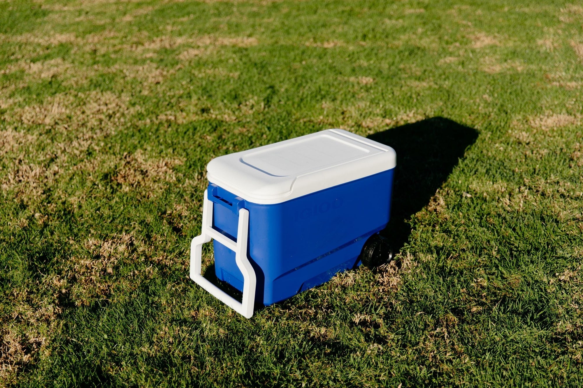 38 QT. Hard-Sided Ice Chest Cooler with Wheels, Blue - CommunityRateLLC