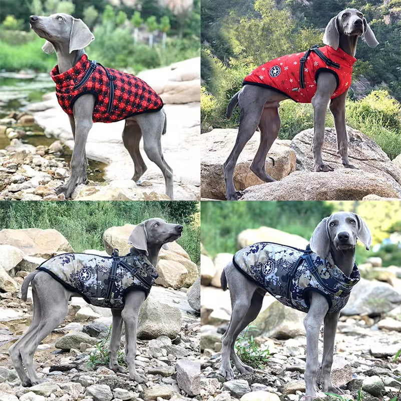 Premium Waterproof Fleece Dog Jacket for Small Breeds with Harness - Ideal Winter Coat for Chihuahuas and Puppies