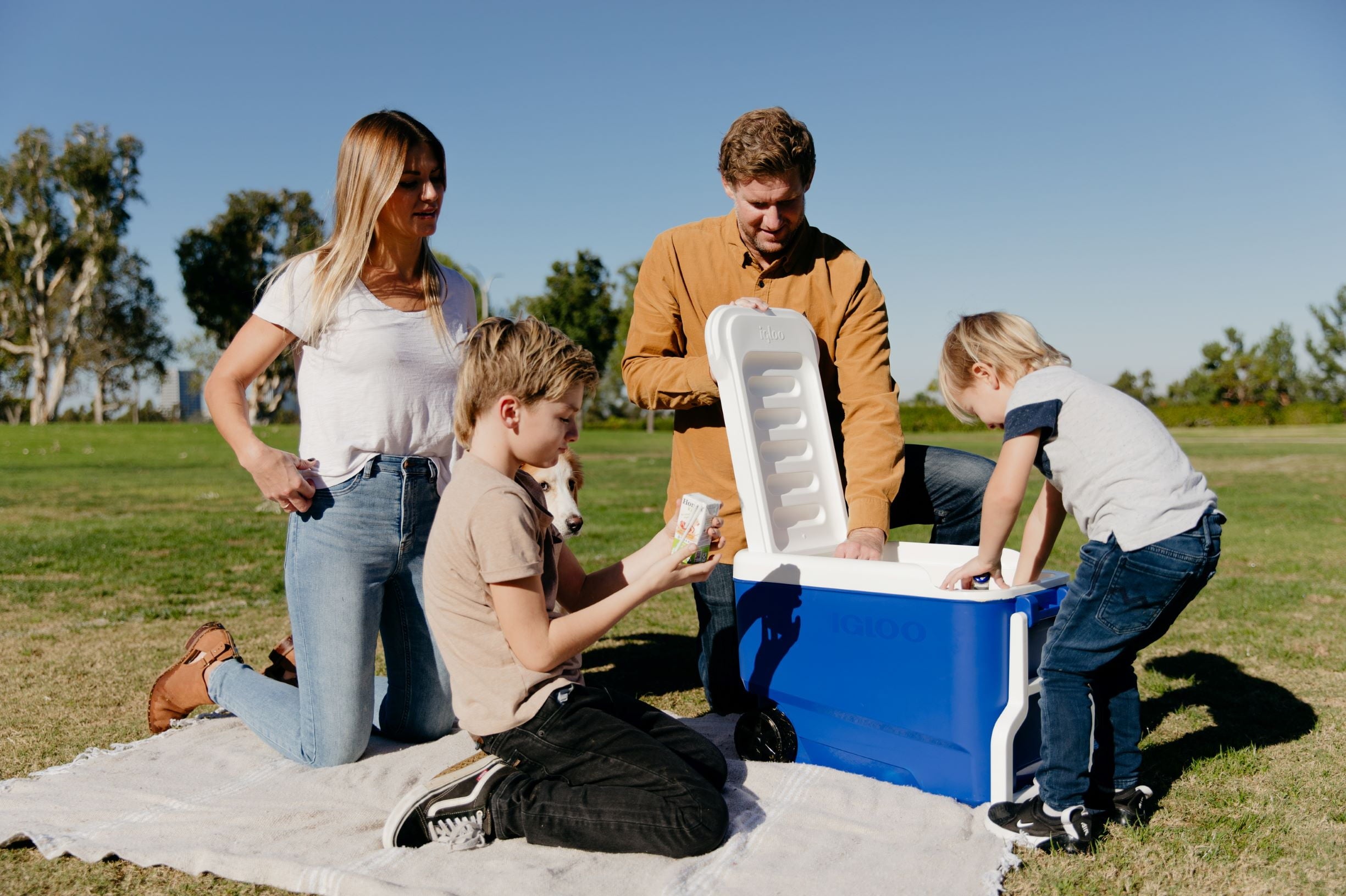 38 QT. Hard-Sided Ice Chest Cooler with Wheels, Blue - CommunityRateLLC