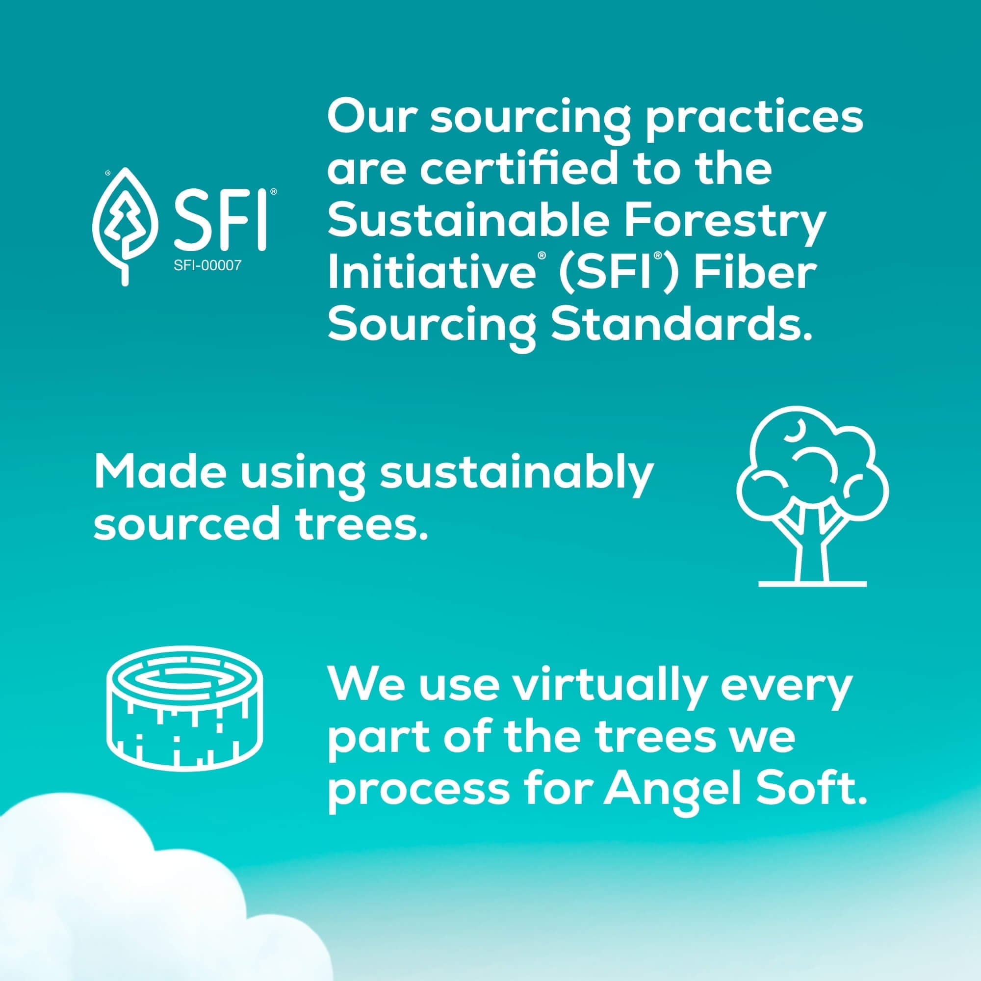 Toilet Paper, 24 Mega Rolls, Soft and Strong Toilet Tissue