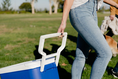 38 QT. Hard-Sided Ice Chest Cooler with Wheels, Blue - CommunityRateLLC