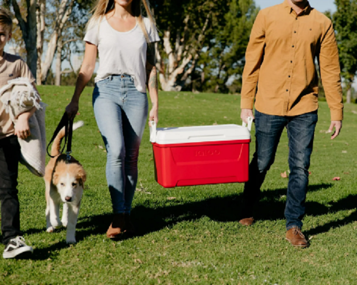 Igloo 48 quart Laguna ice chest cooler with Cool Riser Technology, swing-up handles, and stain-resistant liner.