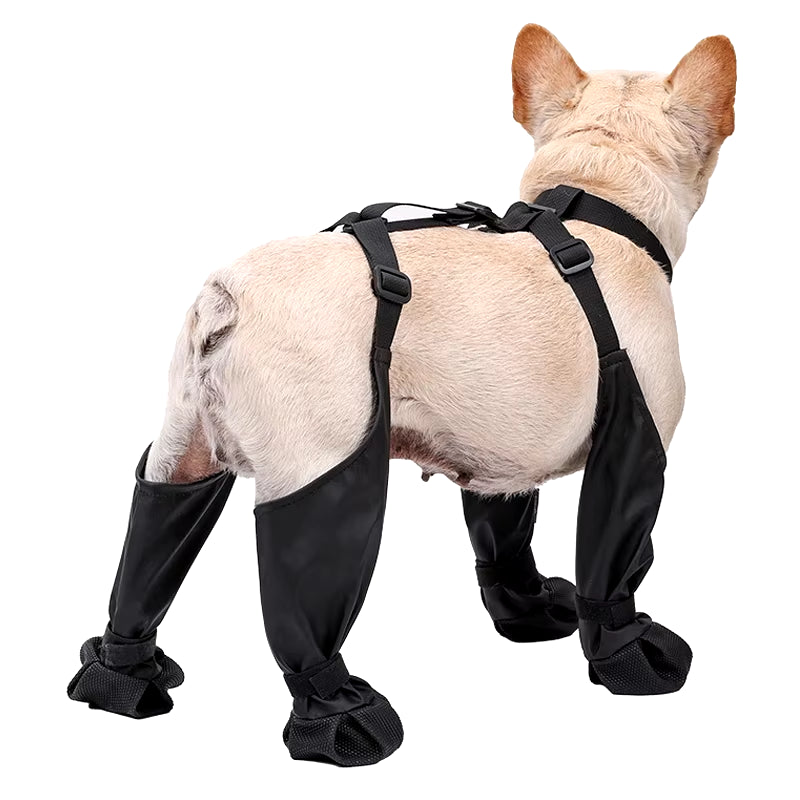 Waterproof Adjustable Non-Slip Dog Boots - Outdoor Protection for Small to Medium Dogs, Perfect for French Bulldogs!